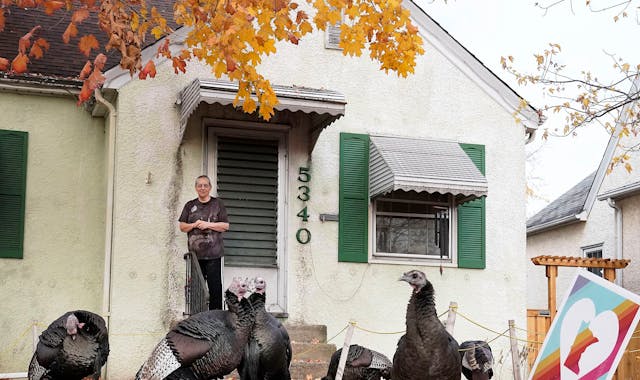 The wild turkey population hasn’t just recovered — it’s exploded. They’ve done so well that now some question whether there’s still enough s