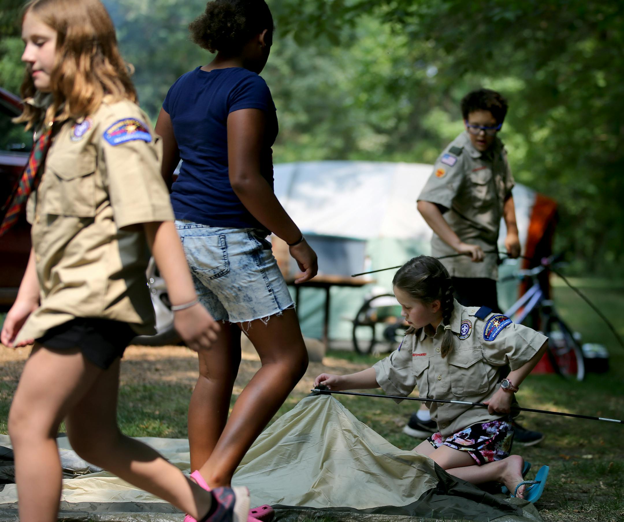 Members of Edina cub scout pack 168 are among the first girls in the country to be scouts - and they are holding their first campout, at Lake Auburn campground in Carver Park. Here, scout Marit Peterson, second from right, places a pole through a tent as fellow scout ZaZa Okundaye, second from left, watches, along with boy scout Miles Van Norman, rear, who is also the den chief, at Carver Park Saturday, Aug. 18, 2018, in Victoria, MN.] DAVID JOLES ï david.joles@startribune.com A group of Ed