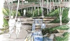 What city officials hope Hidden Falls can become as part of a new storm water containment system. (Source: St. Paul Department of Planning and Economi