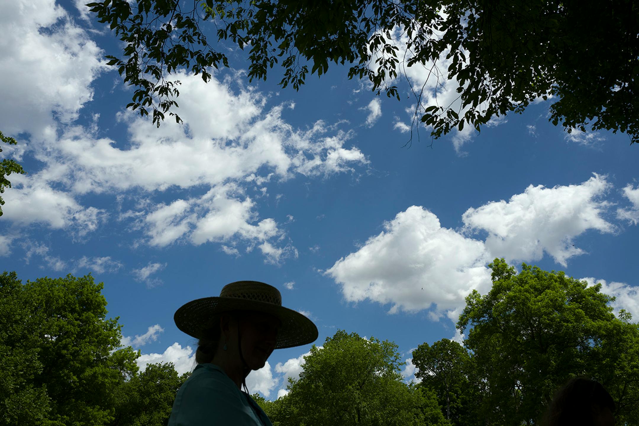 Christine Brandt, a certified forest therapy guide led a small group on walk of at William O'Brien State Park Sunday June 2, 2016 in Marine on St. Croix, MN.