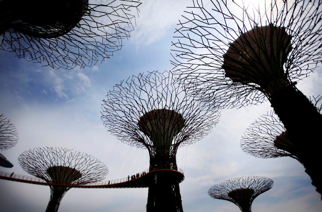 The Supertree Observatory vertical gardens offer stunning views of Singapore’s Gardens by the Bay.