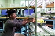 Engineering transfer student Dagmawe Mamo works on his senior design team's hydroponic system in the Facilities and Design Center on September 29, 202