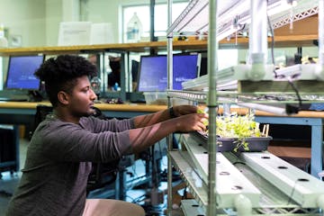 Engineering transfer student Dagmawe Mamo works on his senior design team's hydroponic system in the Facilities and Design Center on September 29, 202