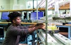 Engineering transfer student Dagmawe Mamo works on his senior design team's hydroponic system in the Facilities and Design Center on September 29, 202