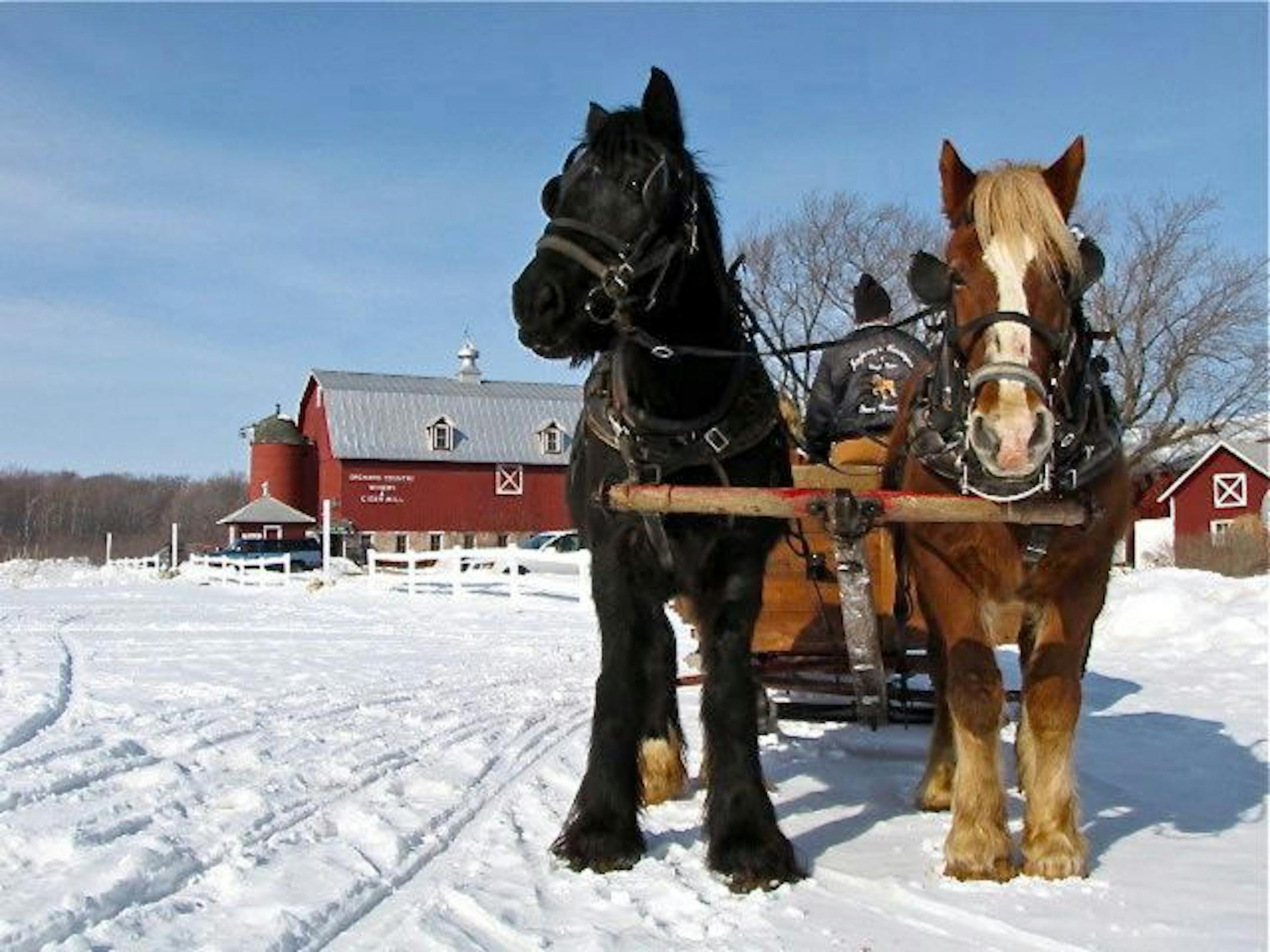 Sleigh rides through the woods at Orchard Country Winery & Market make it a popular attraction in winter.