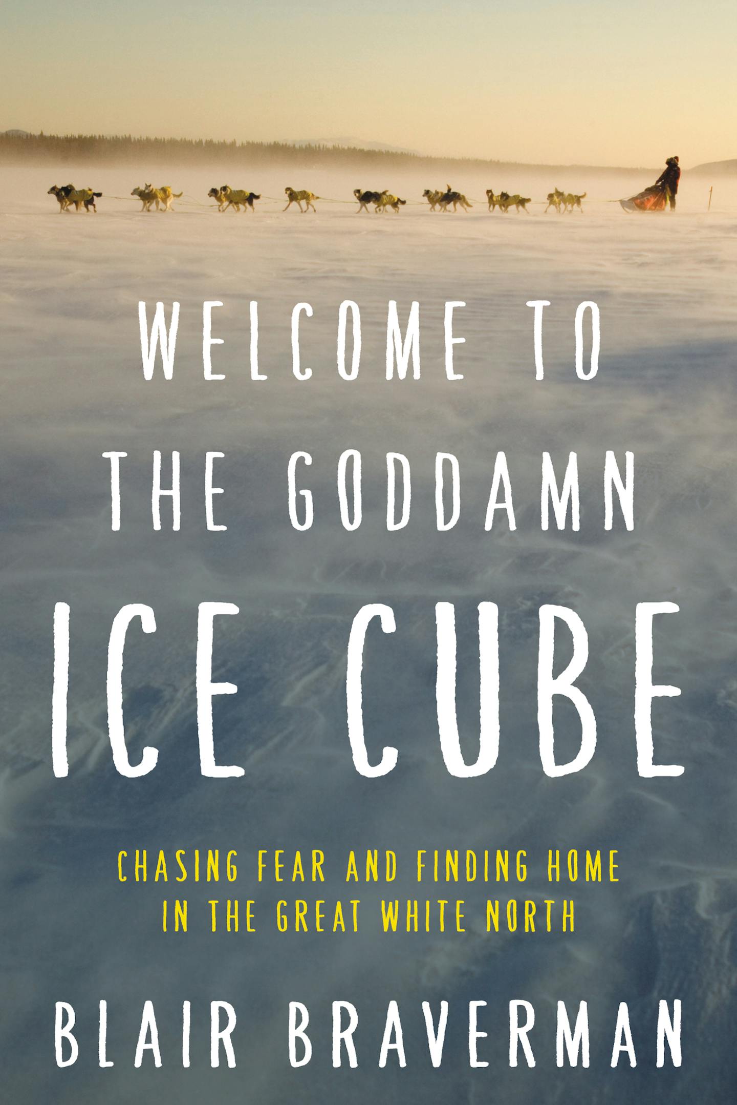 Review: 'Welcome to the Goddamn Ice Cube,' by Blair Braverman