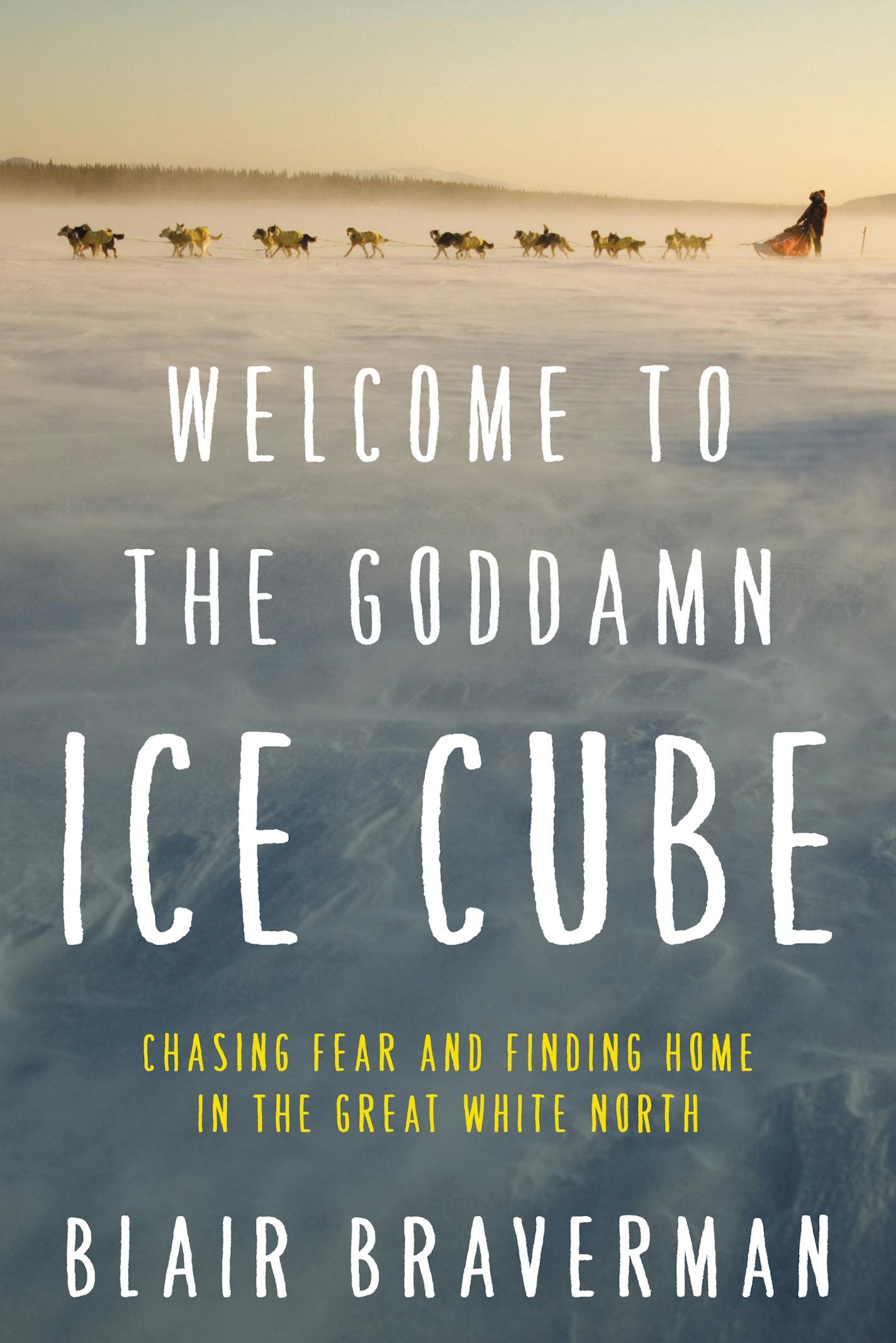 "Welcome to the Goddamn Ice Cube," by Blair Braverman