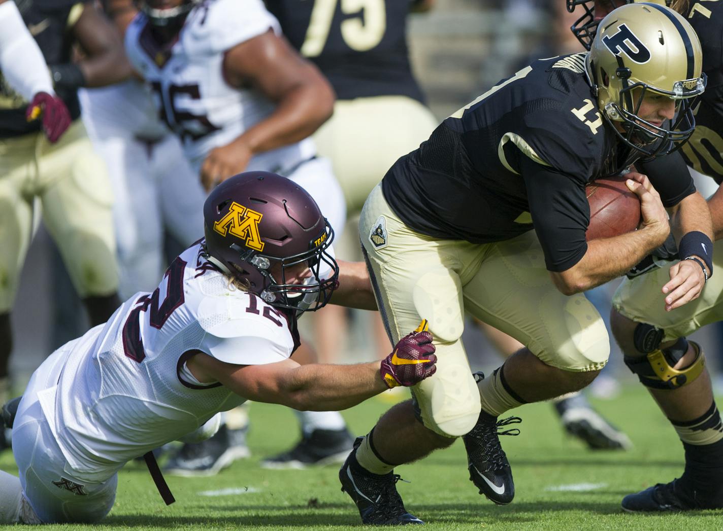 Purdue quarterback David Blough (11) gains two yards before being brought down by Minnesota linebacker Cody Poock (12) during the first half of an NCAA college football game, Saturday, Oct. 10, 2015, in West Lafayette, Ind. Minnesota won 41-13. (AP Photo/Doug McSchooler)