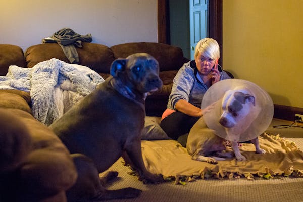 Jennifer LeMay at home in 2017 with her dogs, Ciroc, right, and Rocko after they got back from the vet.