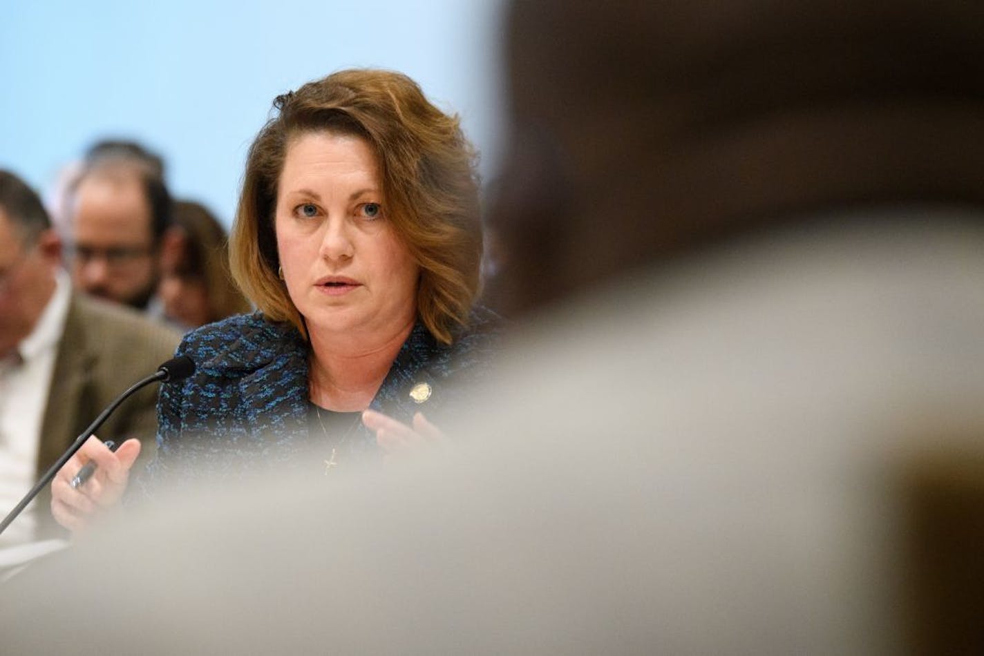 Senator Jeff Hayden, D-Minneapolis, challenged Senator Michelle Benson, R-Ham Lake on her Health insurance premium assistance bill which was being heard in the Senate Commerce Committee.