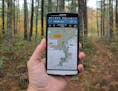 DNR created new digital maps of state forests