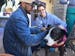 Michael Austin (left) and registered veterinarian technician Logan Gonella put a pet jacket on Austin&#xe2;&#x20ac;&#x2122;s dog, Chloe, at a Street D