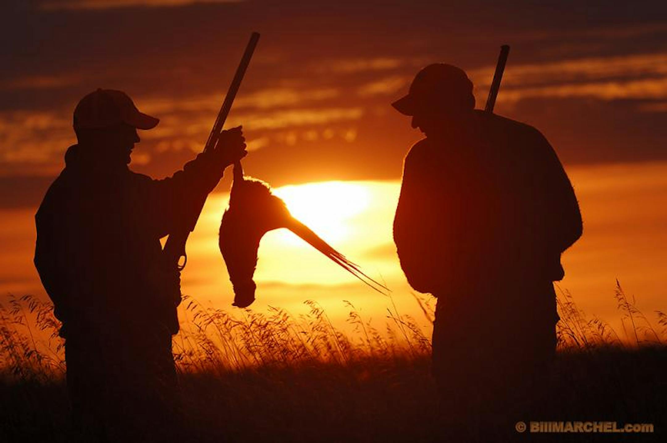 Hunters admire rooster pheasant.