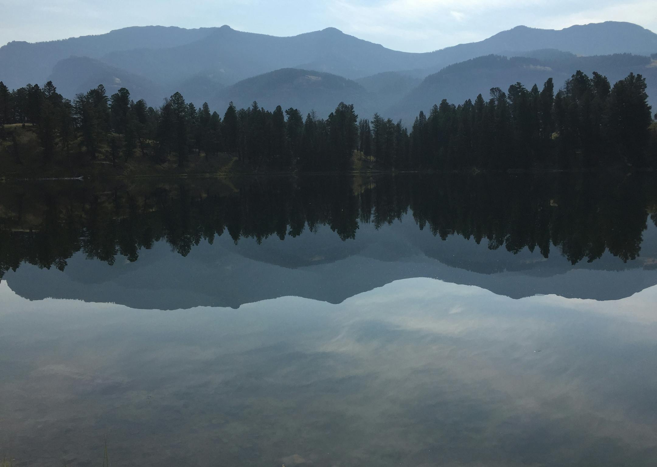 Trout Lake at Yellowstone National Park. Photo by Amy Eckert.