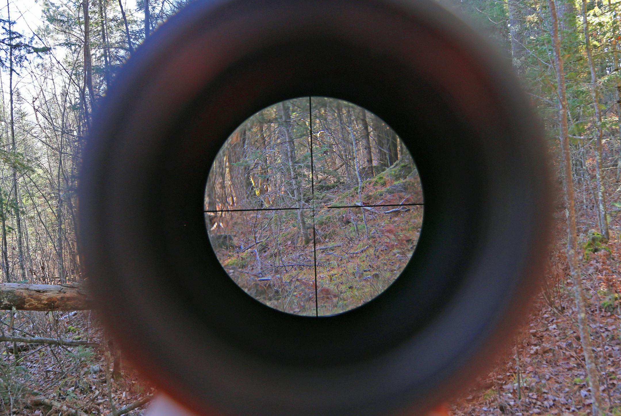 Through the lens, darkly: A hunter's-eye view through the scope ó but no deer to show for on Saturday in northern Minnesota near Cook.