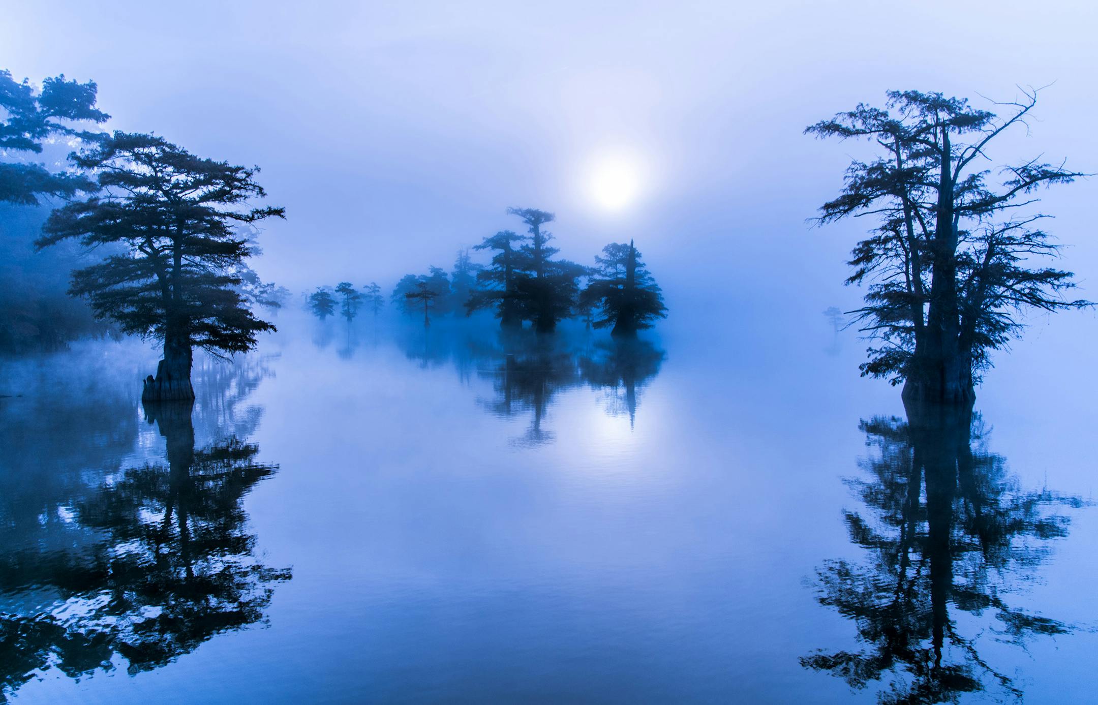 near old town, mississippi, foggy morning