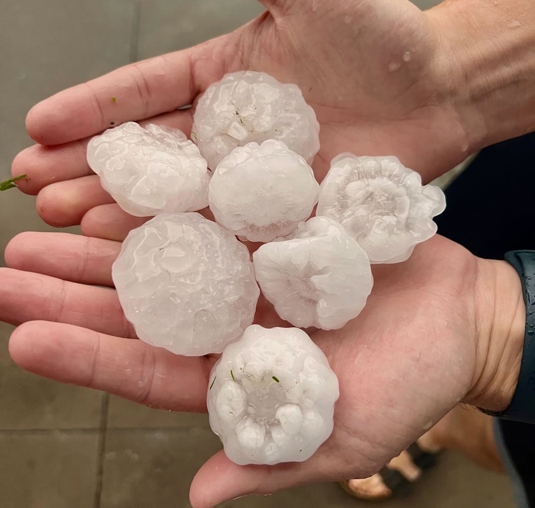 A sampling of some hail that fell in downtown Minneapolis early Friday evening.