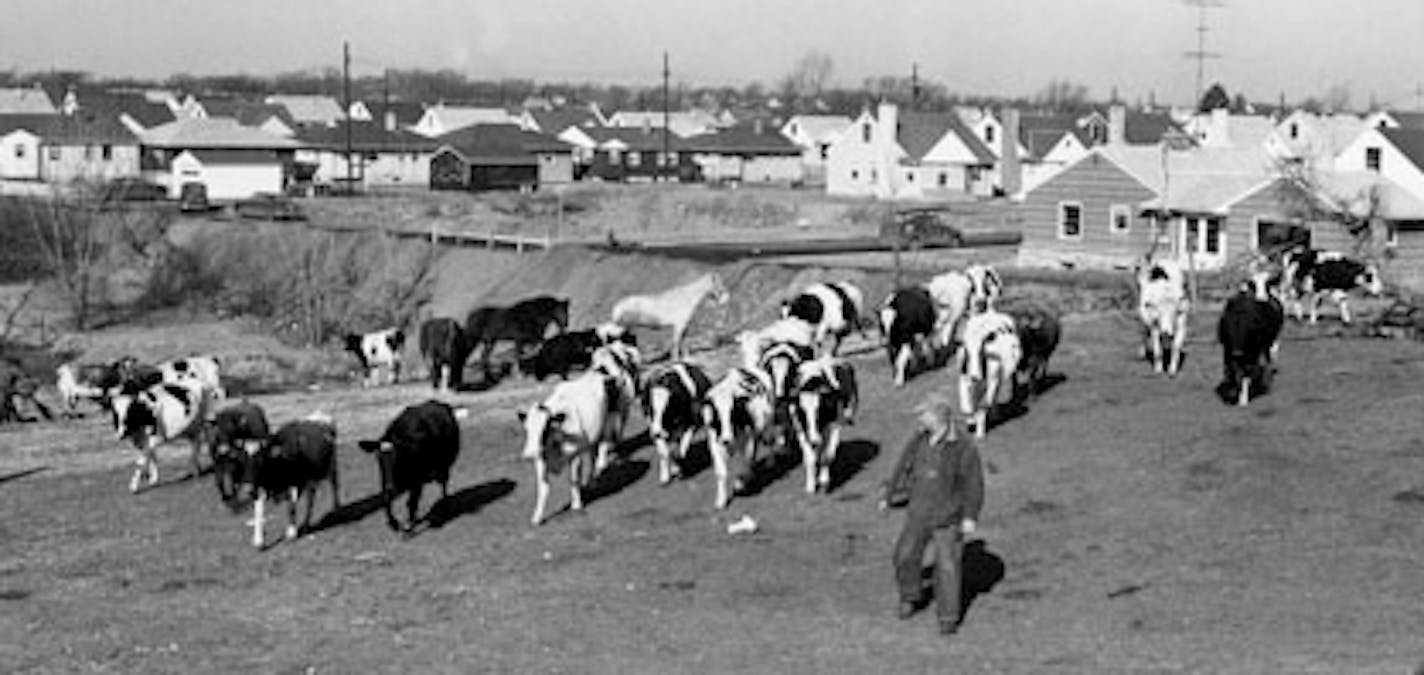 The Historical Society identifies this 1954 photo as: "Urban development near the John Tierney farm at 62nd Street and Penn Avenue S. in Richfield."