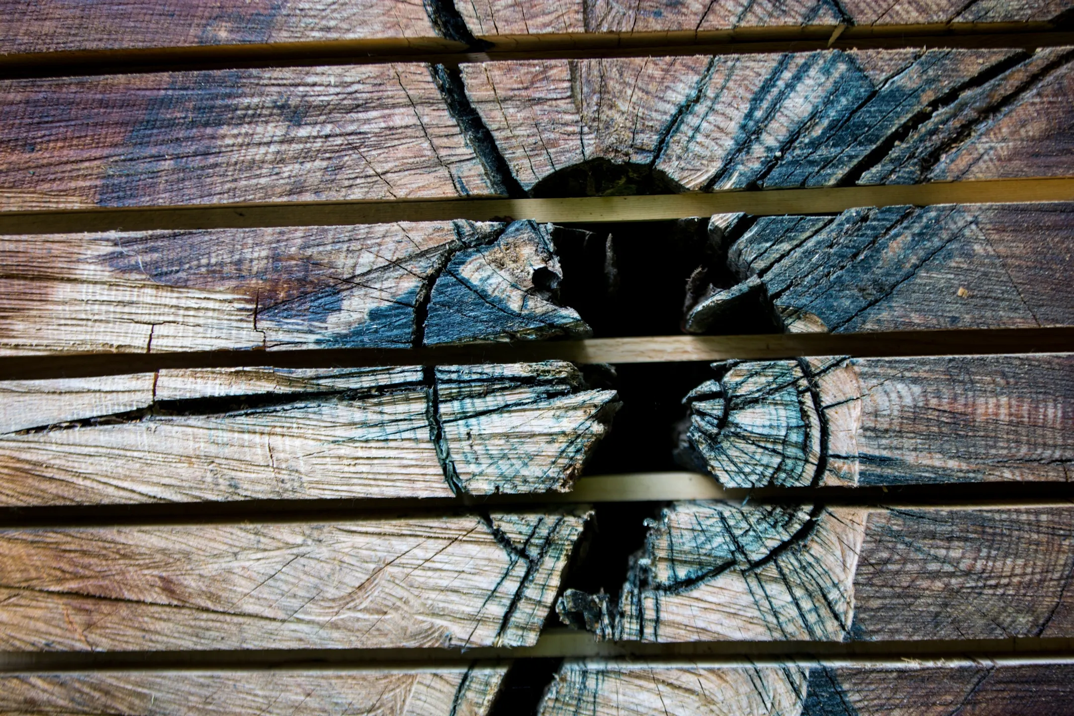 Twin Cities woodworker has quietly become one of the state's social ...