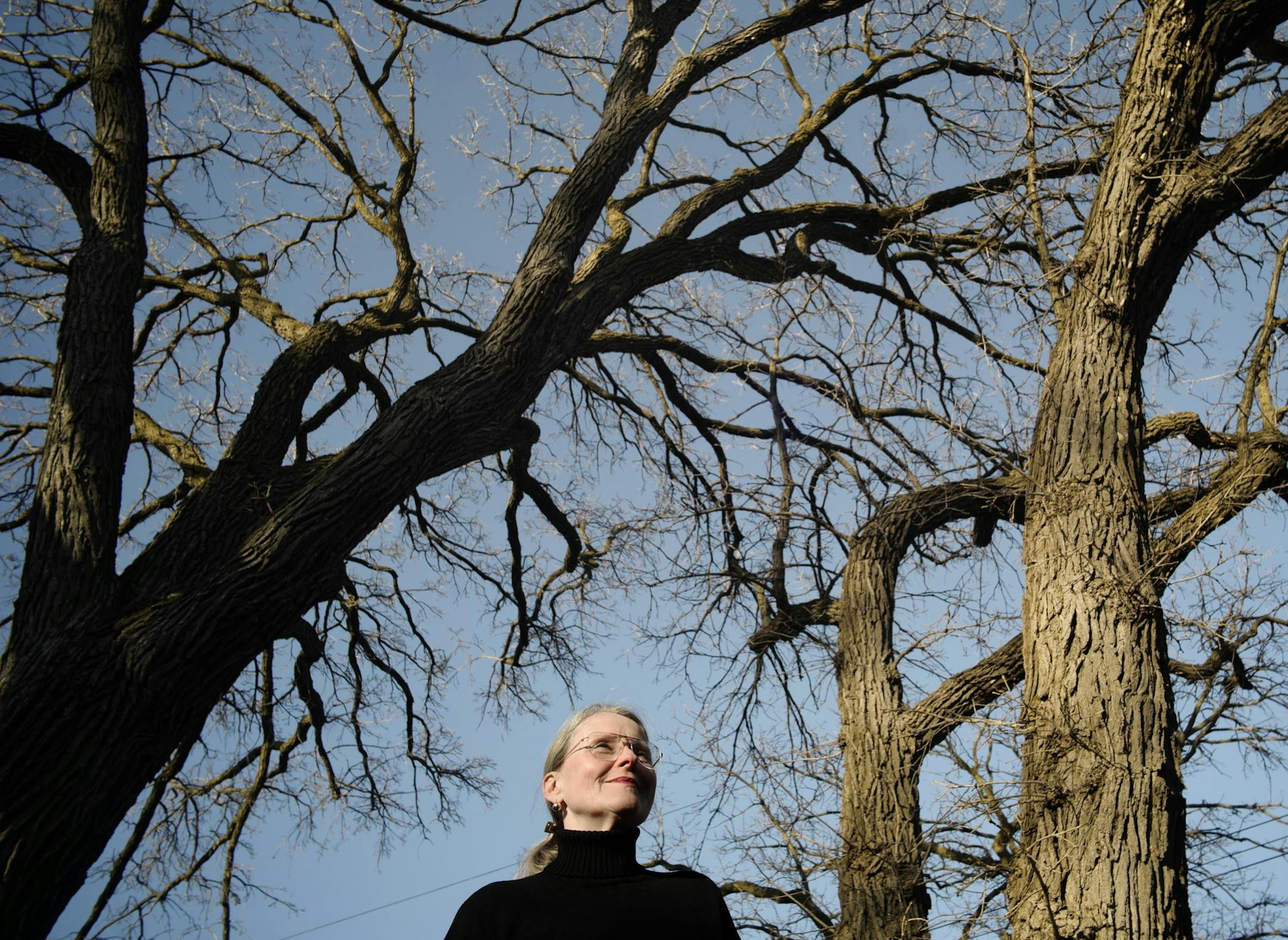Jane Tilka loves her five oak trees, now threatened by gypsy moths. The oldest oak predates 1910, when her house was built.