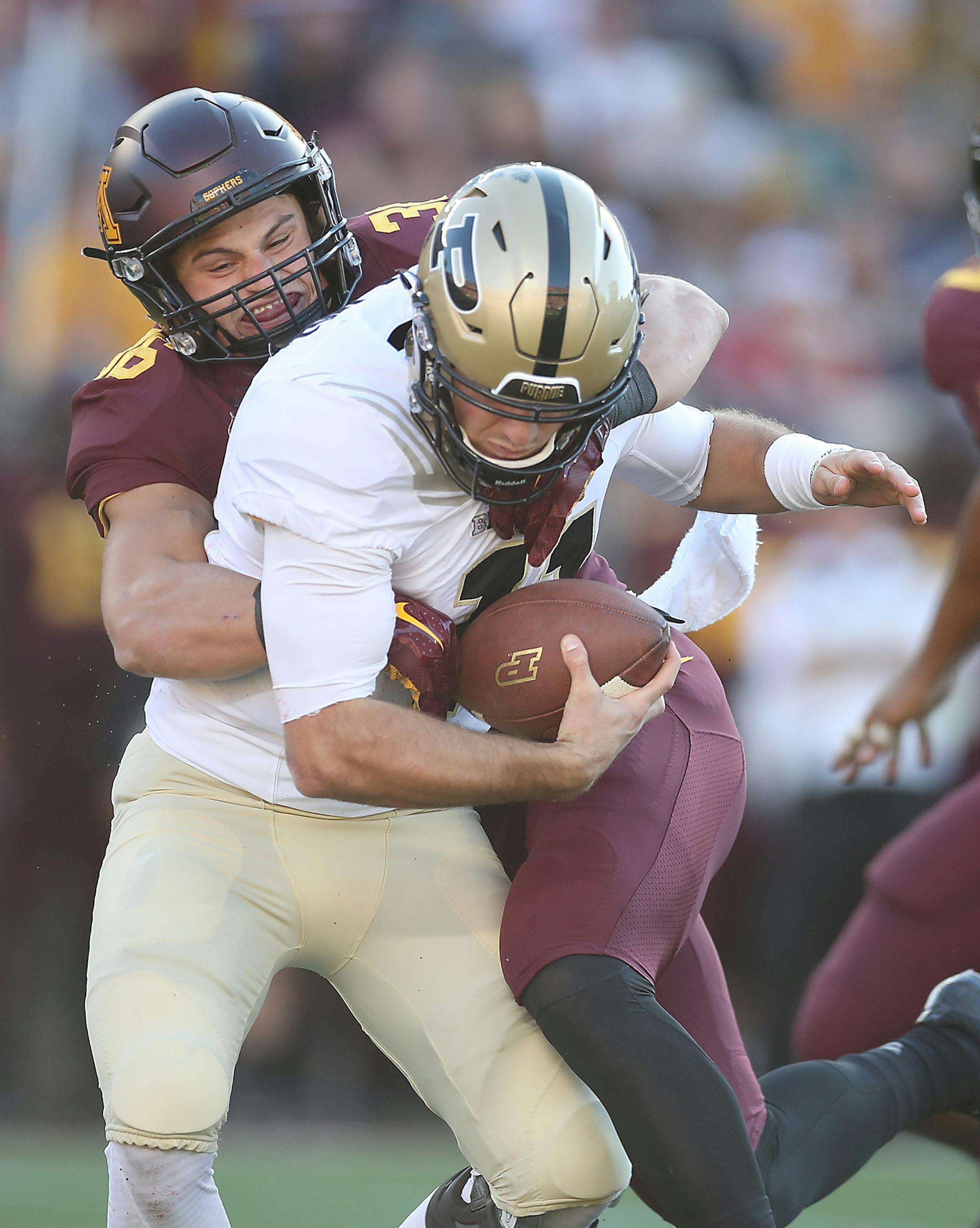 Minnesota's linebacker Blake Cashman sacked Purdue's quarterback David Blough during the second quarter for a first down as Minnesota took on Purdue at TCF Bank Stadium, Saturday, November 5, 2016 in Minneapolis, MN. ] (ELIZABETH FLORES/STAR TRIBUNE) ELIZABETH FLORES &#x2022; eflores@startribune.com