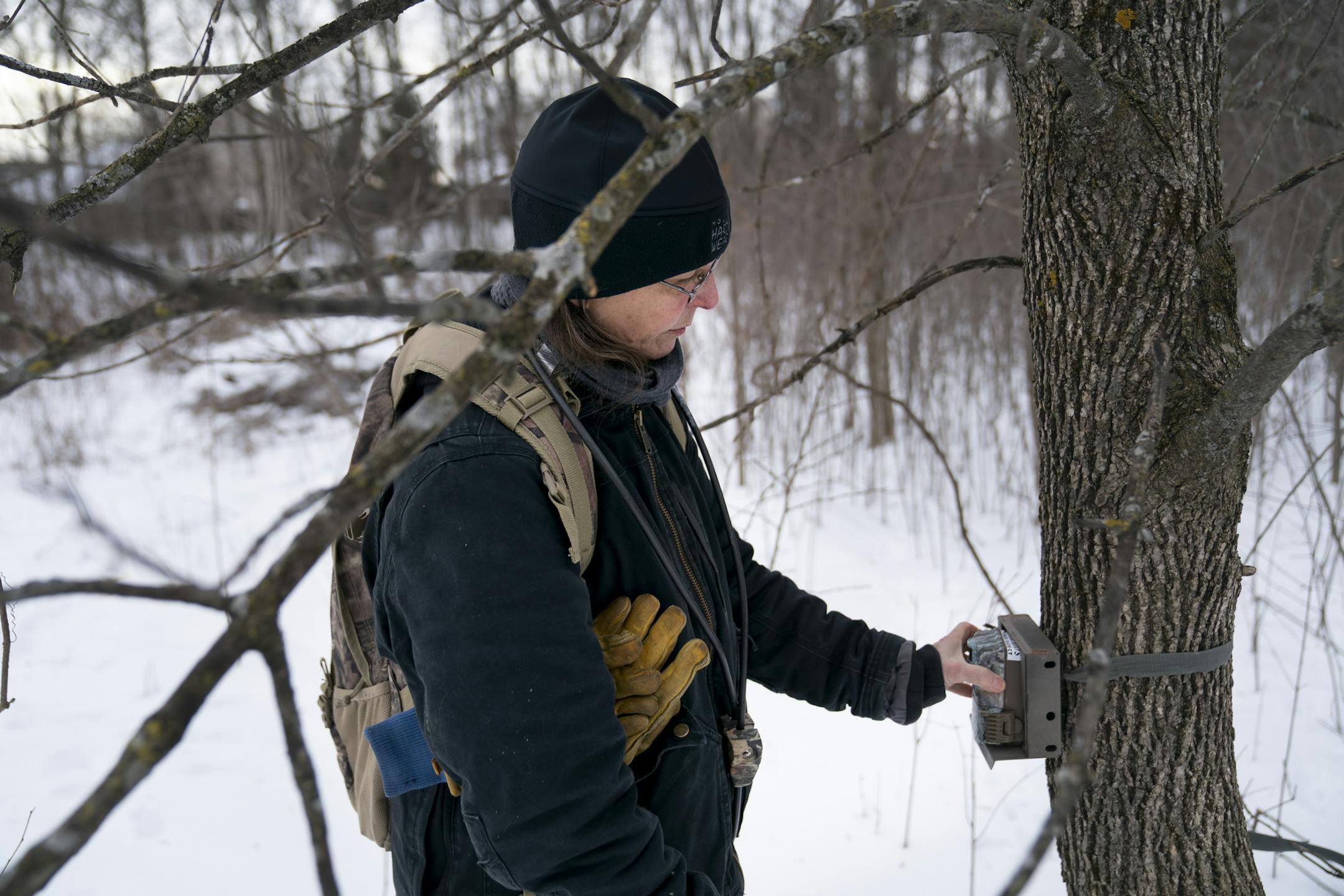 Cheryl Batson is an avid camera trapper and volunteers for Three Rivers Park District to place her camera's throughout Elm Creek Park Reserve in Maple Grove, Minn. She collected three of her cameras on Friday, January 10, 2020 to take them home and update them. ] RENEE JONES SCHNEIDER ¥ renee.jones@startribune.com