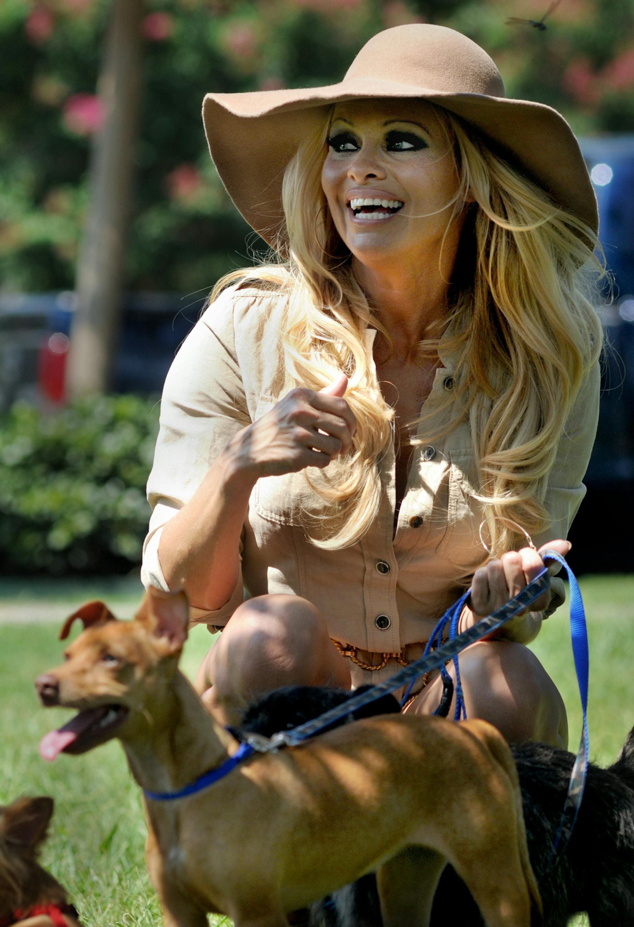 Actress Pamela Anderson takes several dogs for a walk, Monday, Aug. 2, 2010, in New Orleans. Anderson was on hand to walk and help send off about 50 dogs that are being moved from Louisiana to Virginia who've been orphaned by the Deepwater Horizon oil spill in the Gulf of Mexico. Anderson, PETA's honorary director, paid all the expenses and costs to relocate the dogs. Anderson chose two dogs to adopt and take home herself. (AP Photo/Chuck Cook)