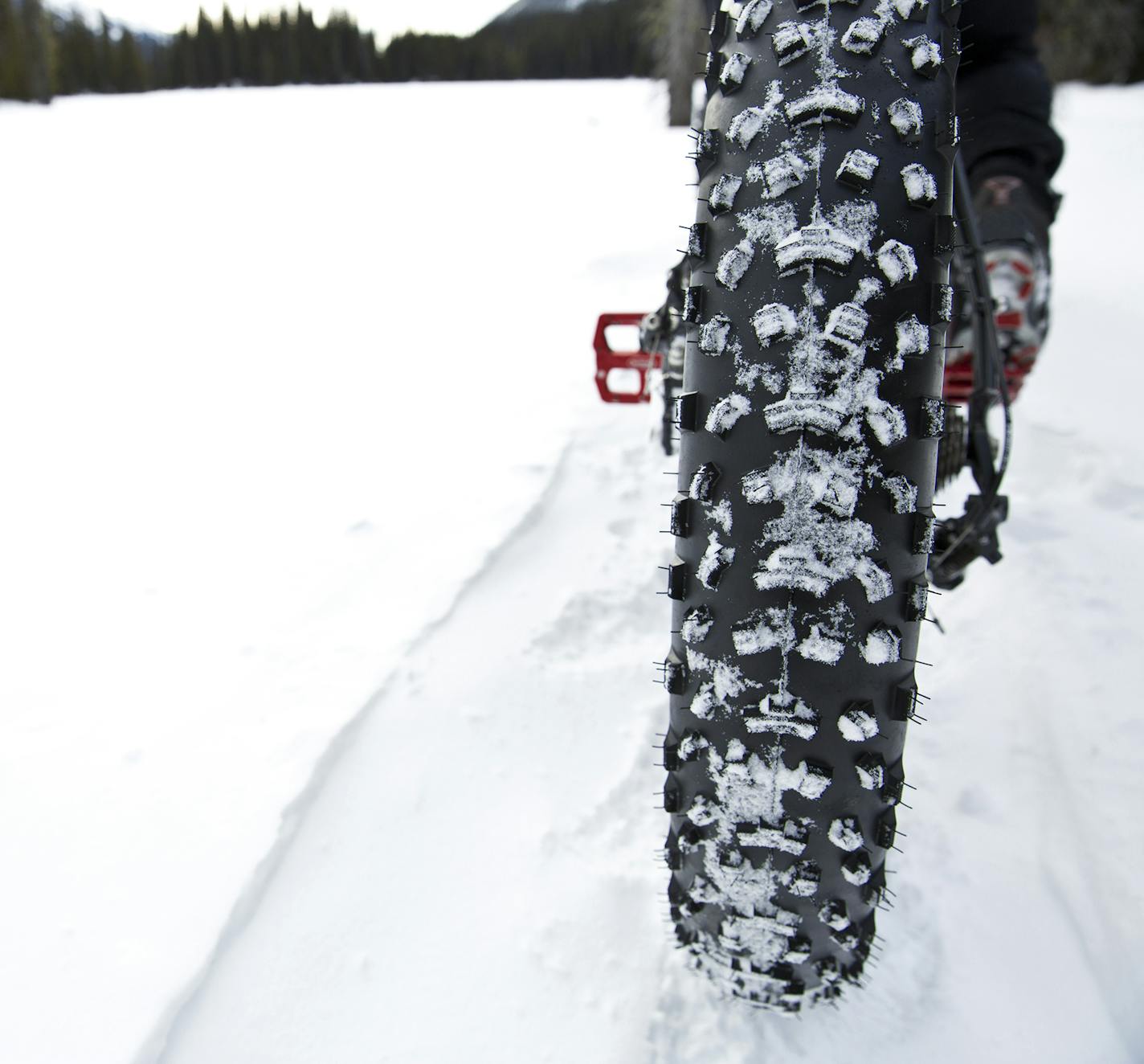 A close up view of a winter fat bike tire used to mountain bike on snow.