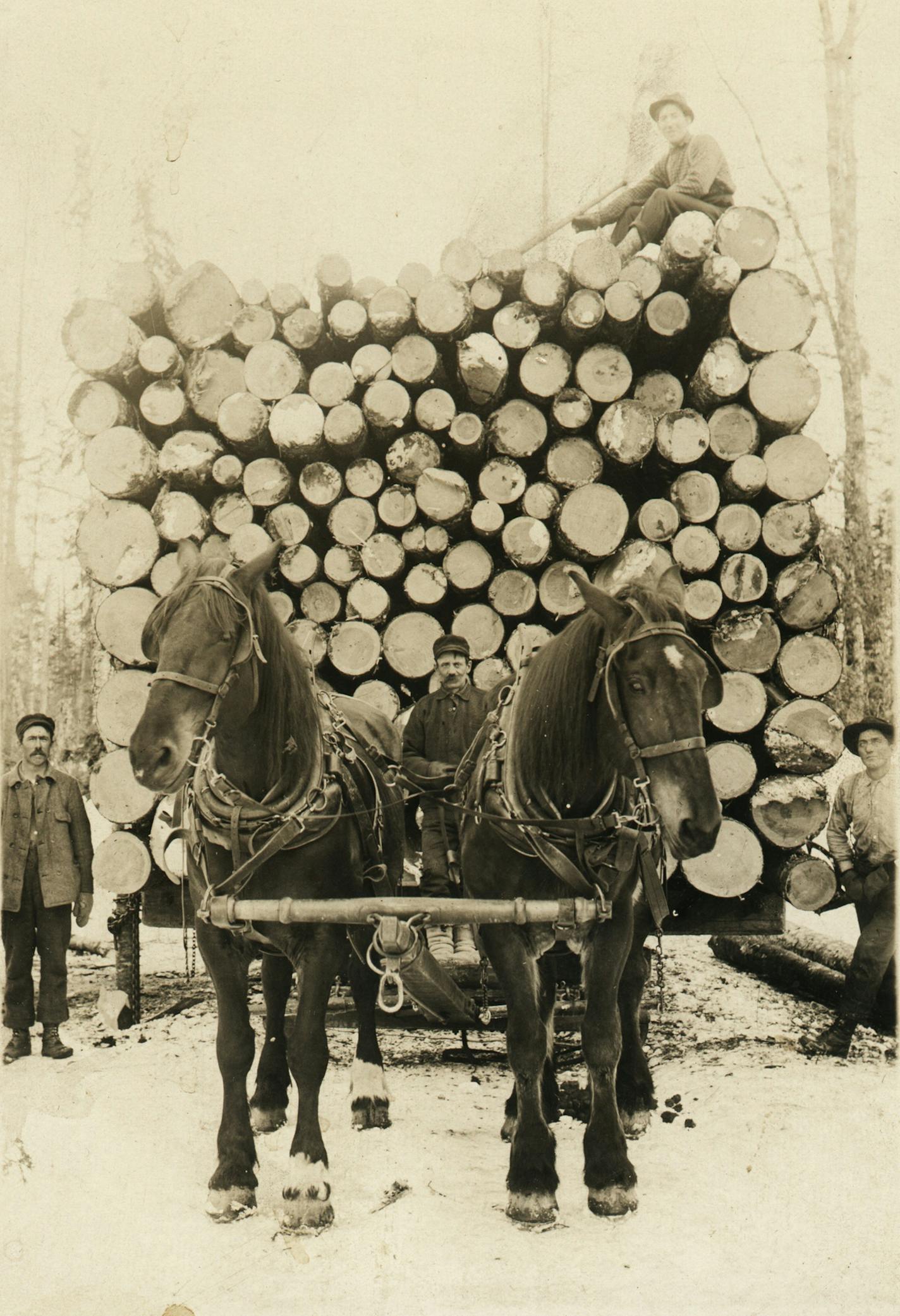 The Anoka County Historical Society will look at the importance of logging in the area's history. In this photo: Large load of logs on sled being drawn by two horse team. Four men, one on top of load identified as John Hormon. Taken above Park Rapids at H.C. Ackley Lumber Camp. No date.