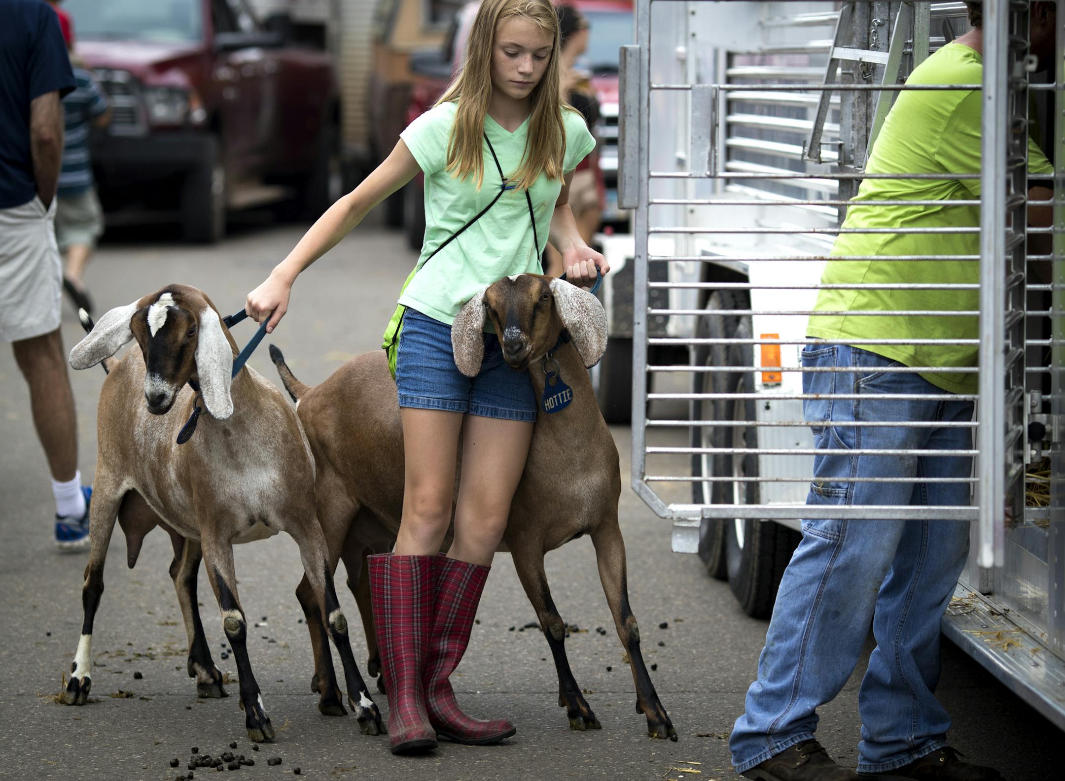 Quinn Czeck, 13, of Stearns County, helped Scott Walberg of Alexandria, right, load goats onto a trailer. Like many fairgoers, they seemed reluctant to leave.