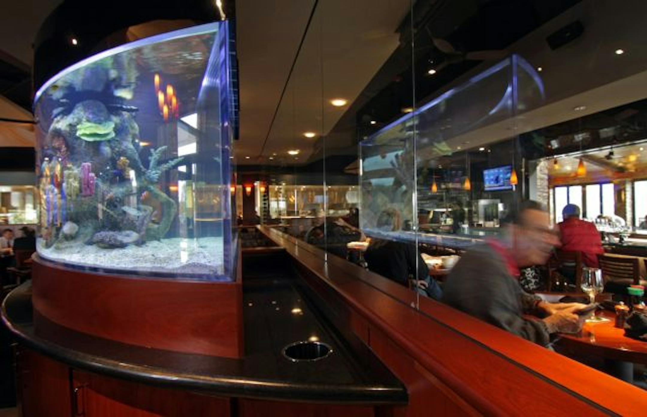 A showy fish tank divides the dining room and sushi bar area from the bar and patio at Kona Grill.