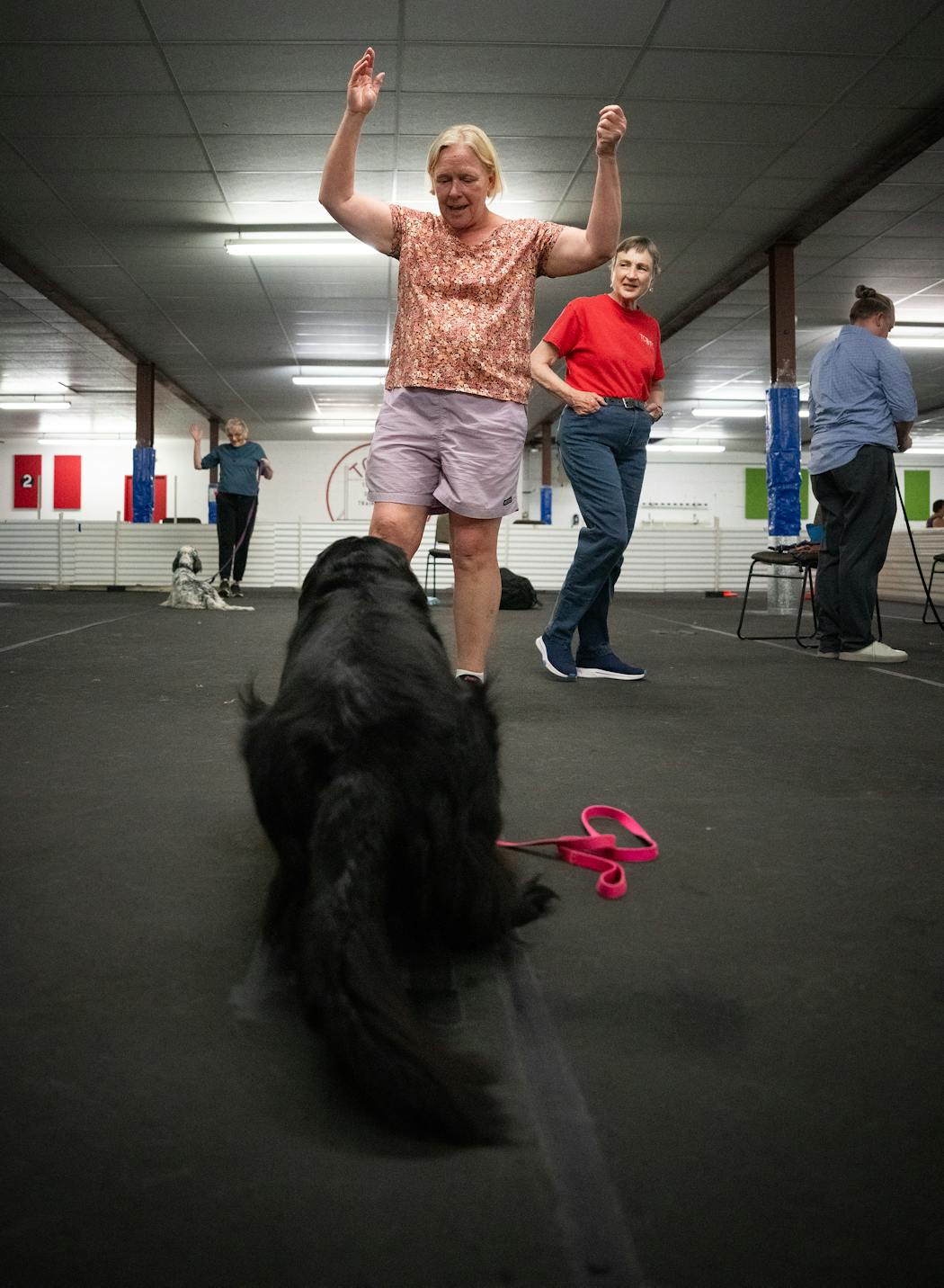 Karen Wennberg created a distraction in an attempt to test Jenny the labrador retriever.