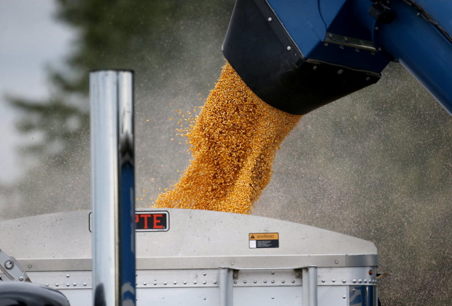 Corn is harvested on a Minnesota farm.