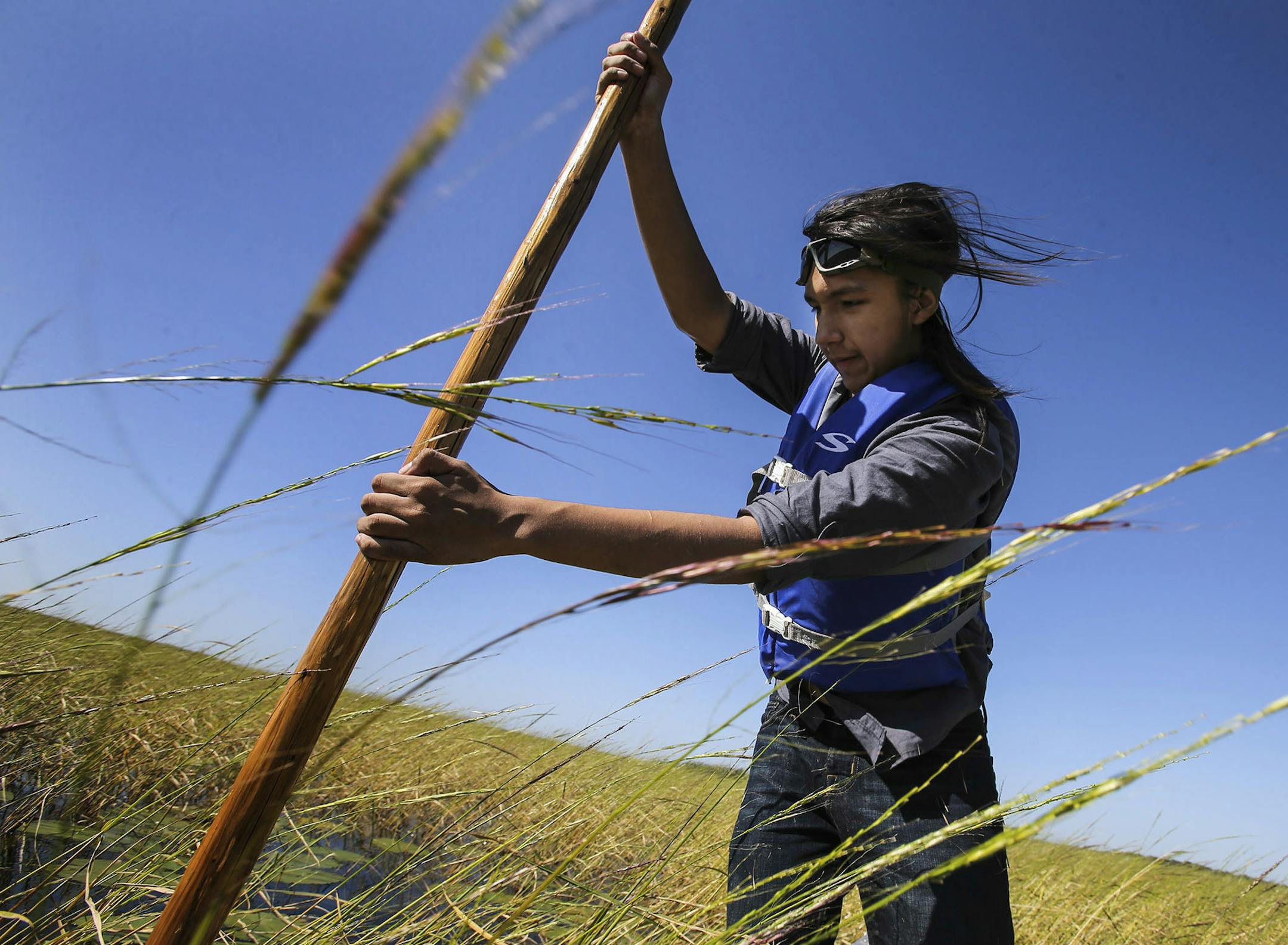 Bug-O-Nay-Ge-Shig High School student Terrance White uses a push pole to propel himself through the marshy waters of Mud Lake while harvesting wild rice in a canoe as part of an Ojibwe culture class Tuesday, Sept. 9, 2014, at Mud Lake in Cass County, MN.](DAVID JOLES/STARTRIBUNE)djoles@startribune The Bug O Nay Ge Shig School is a culturally based alternative school that opened in 1975 with a mission of serving Ojibwe children and has matured into a fully accredited educational program. Bug Scho