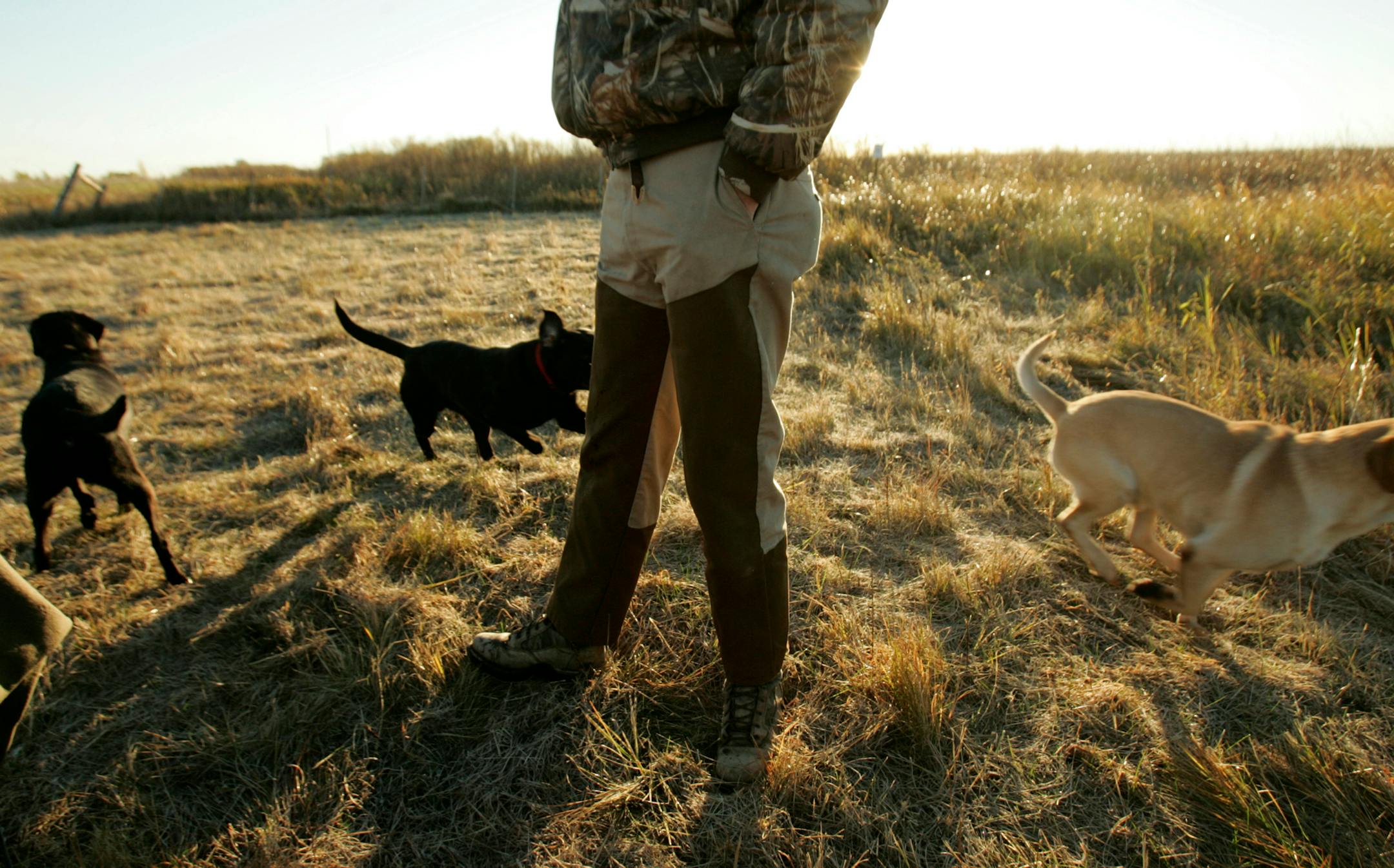 The twitchy energy, the October sun, the lunches by tailgate: All are a part of the pheasant opener memory bank.