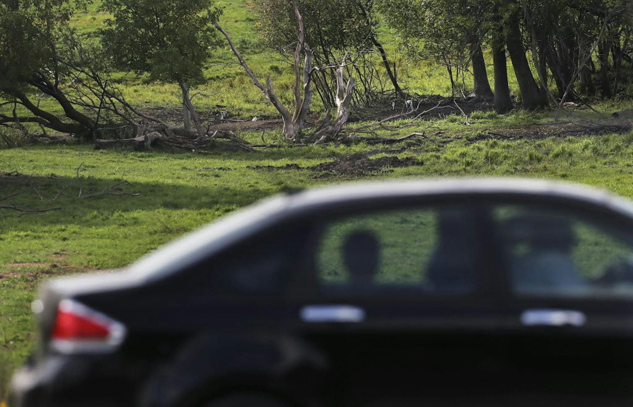 The remains of Jacob Wetterling were recovered in this tree line area of a cow pasture off of Stearns County Road 85.