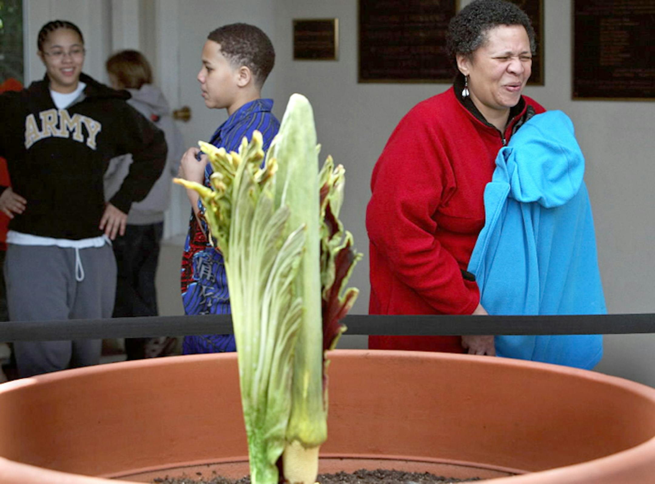 In this file photo, Artie Thompson of Minneapolis, right, reacted as she got a whiff of the Amorphophallus titanum, commonly known as the corpse flower, in St. Paul.