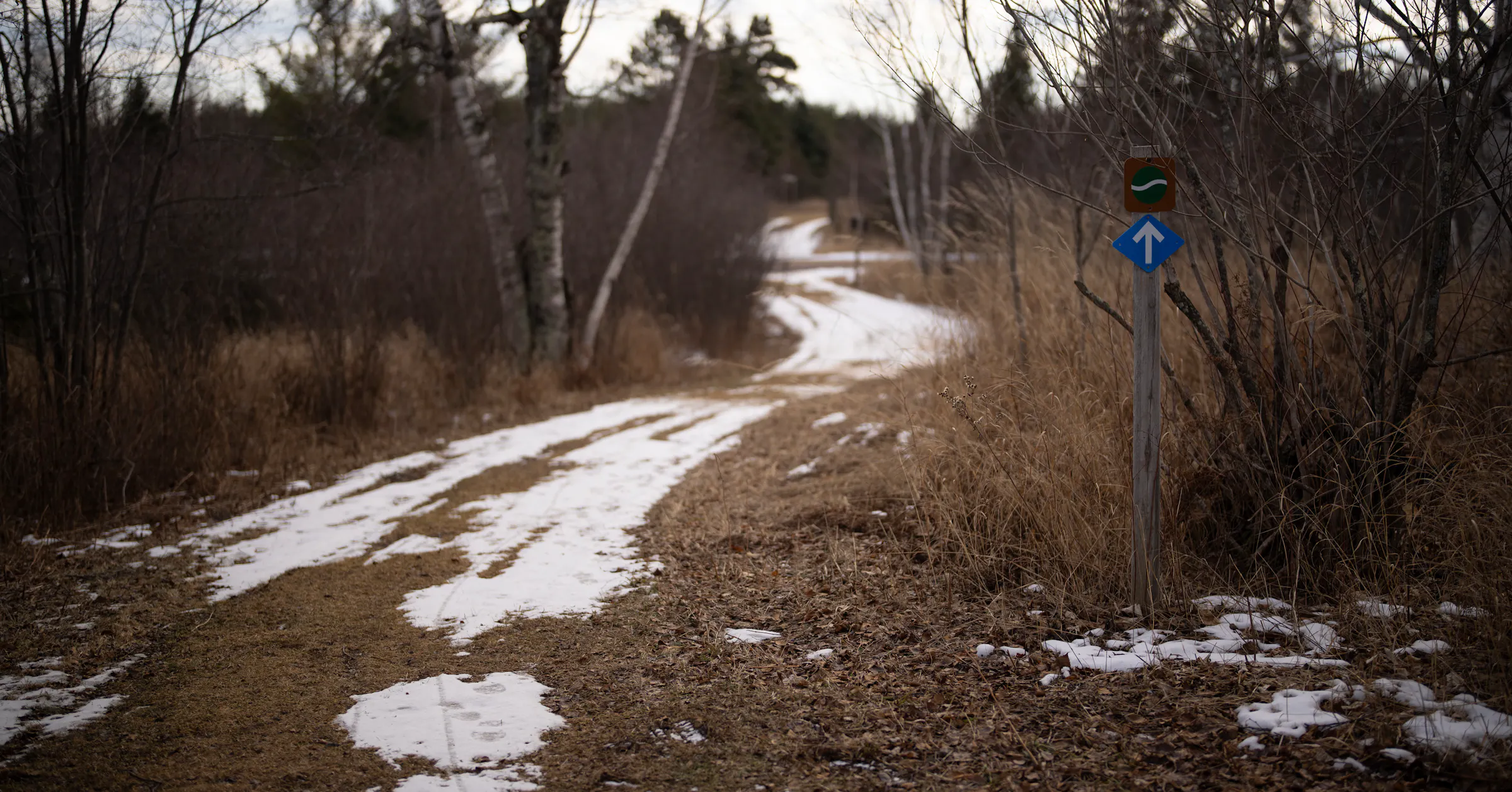 Not a record, but parts of Minnesota hit 59 degrees Sunday