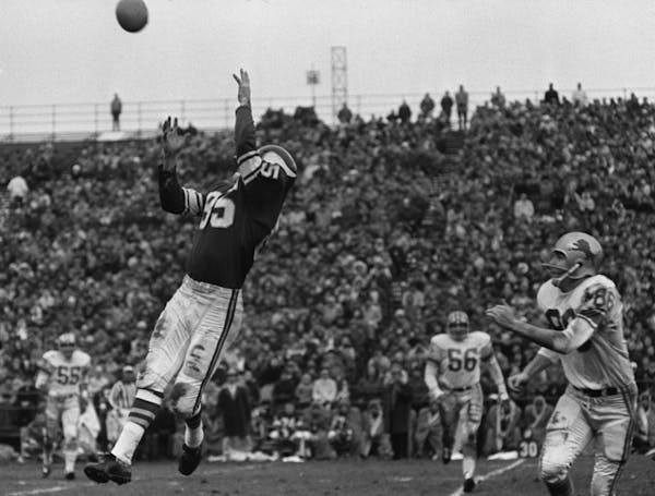 Met Stadium - Bloomington, MN - 11/24/1963 - Vikings Paul Flatley hauls in key 35-yard pass from Fran Tarkenton during the game agianst the Detroit Li