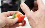 One Target innovation involved scanning food items, such as strawberries, to gather data on freshness.