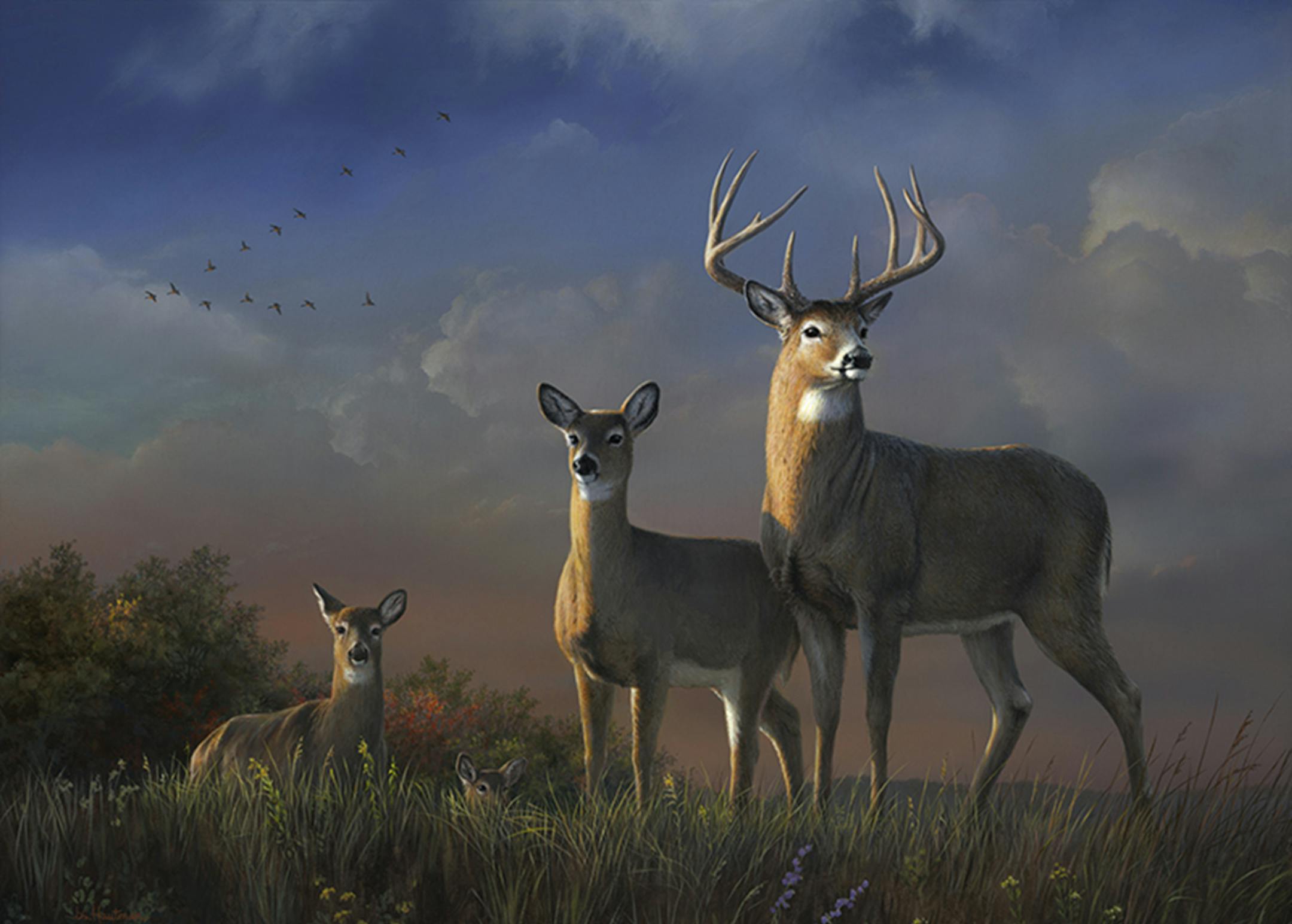 "In the clear,'' by Joseph Hautman
