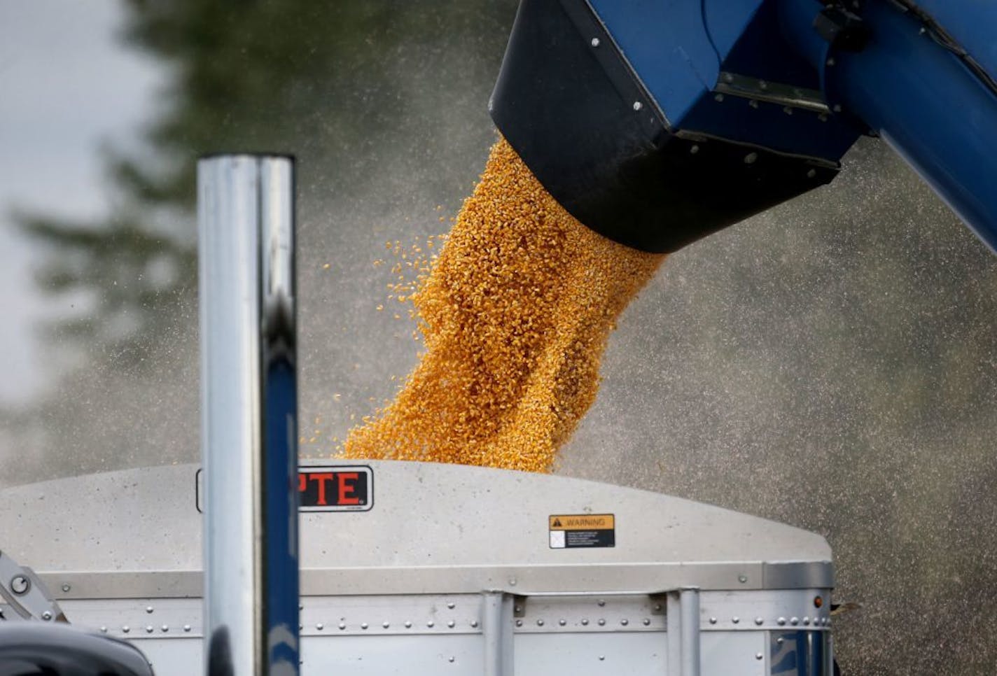 Members of the Peterson family, who operate Far-Gaze Farms, worked harvesting corn on one of their fields, this one 142 acres, Friday, Oct. 9, 2015,near Northfield, MN.