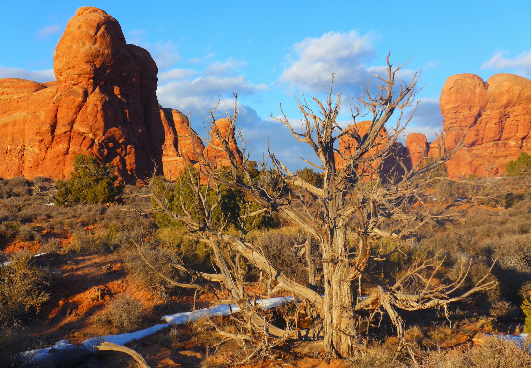 Arches National Park in Utah has more than 2,000 natural arches, the greatest concentration in the world.
