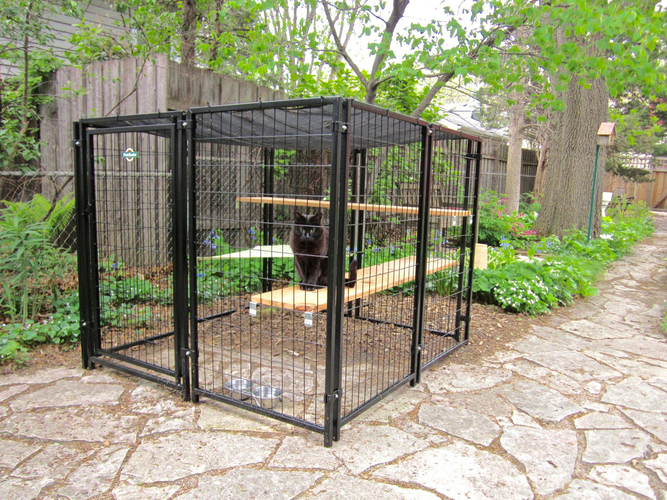 Photo by Sharon Shinomiya This indoor cat doesnít mind being enclosed outdoors.
ONE TIME USE ONLY WITH BIRDING COLUMN