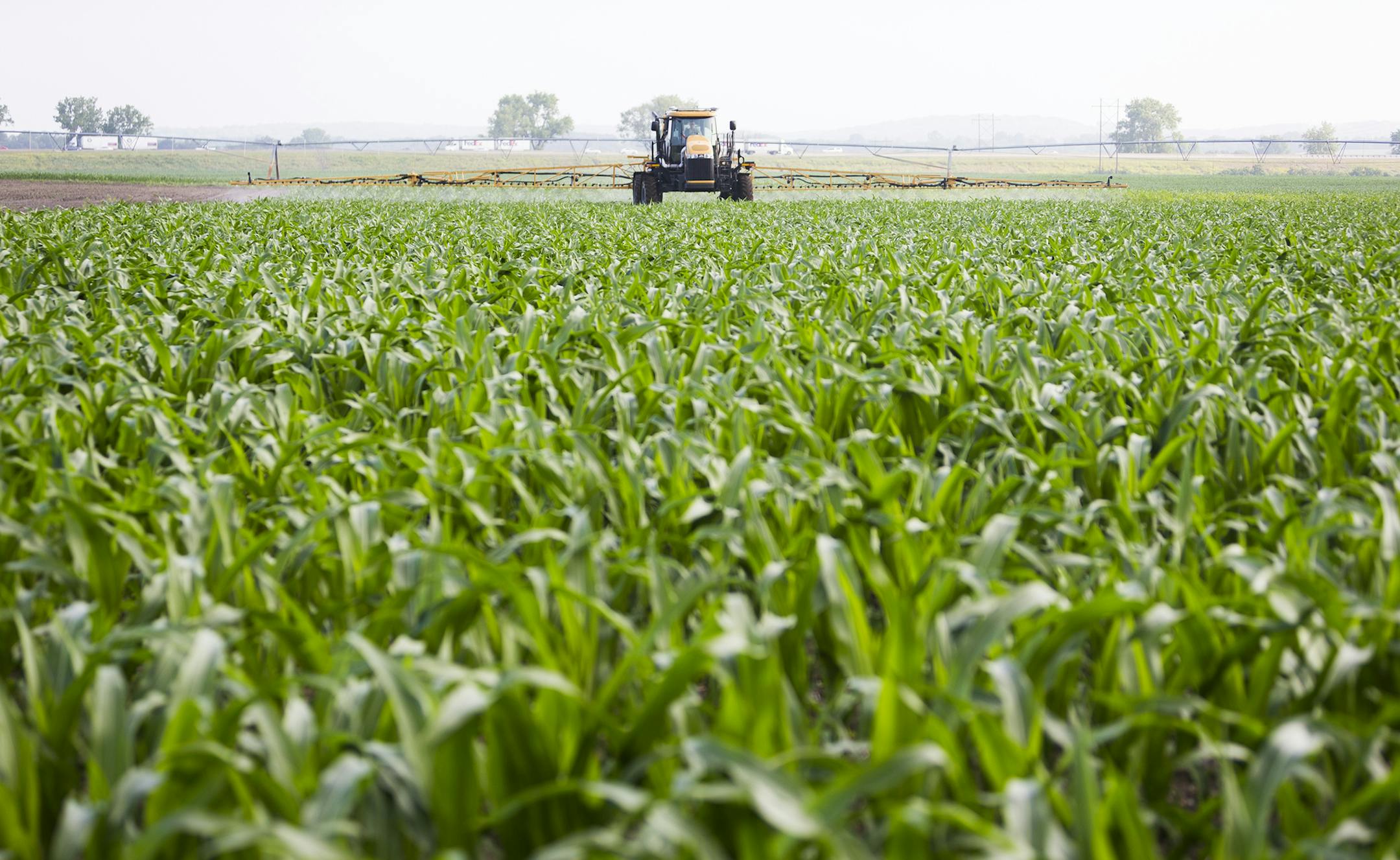 Enlist Duo, manufactured by DowAgrosciences, could become an important competitor to Monsanto‚Äôs popular Roundup Ready system that has dominated the corn and soybean market since the late 1990s. Provided by Dow AgroSciences