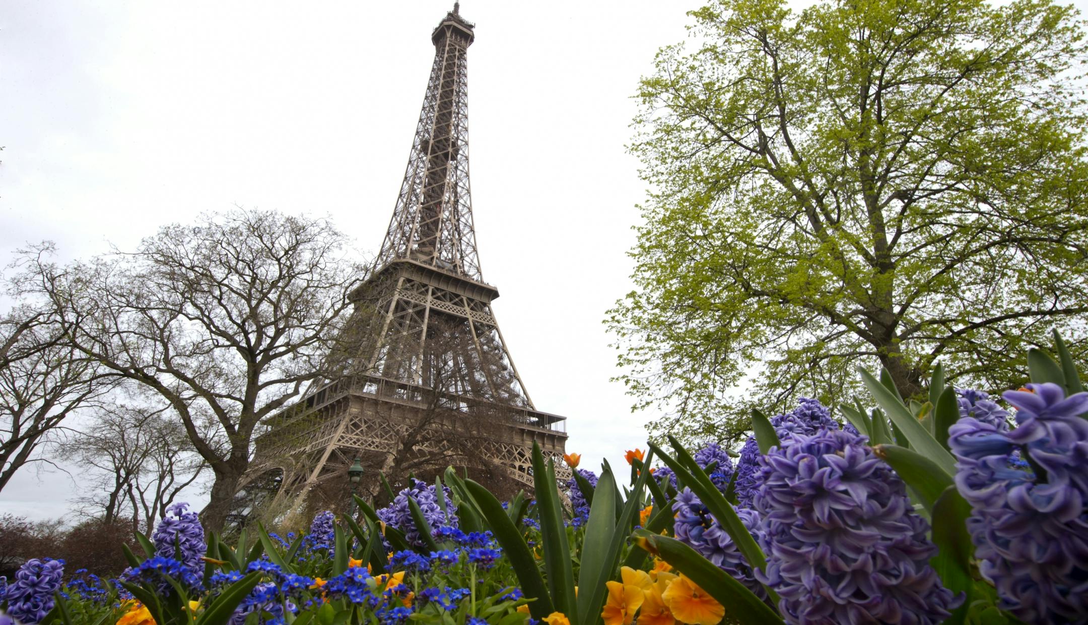 The Eiffel Tower in Paris, France.