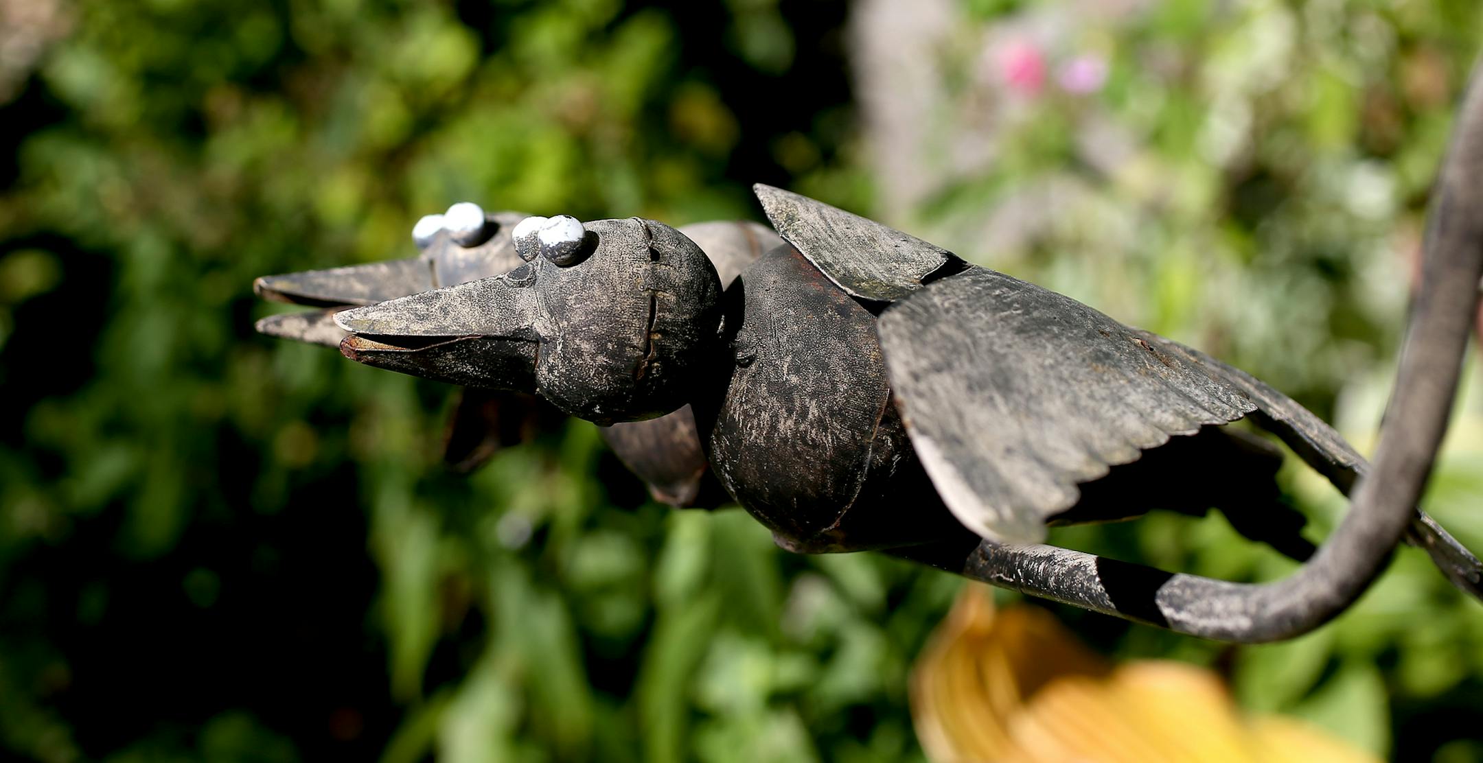 Catherine Navalta Japanese-inspired garden won top honors in New Hope's suburban home awards. Catherine is a born caregiver. She is a registered nurse helping patients recovering from brain injuries and strokes. At home she nurses her spectacular flower garden. She grew up in the Phillipines and remembers the scent of gardenias wafting from her mother's flower garden. New Hope, MN on October 9, 2013. ] JOELKOYAMA‚Ä¢joel koyama@startribune