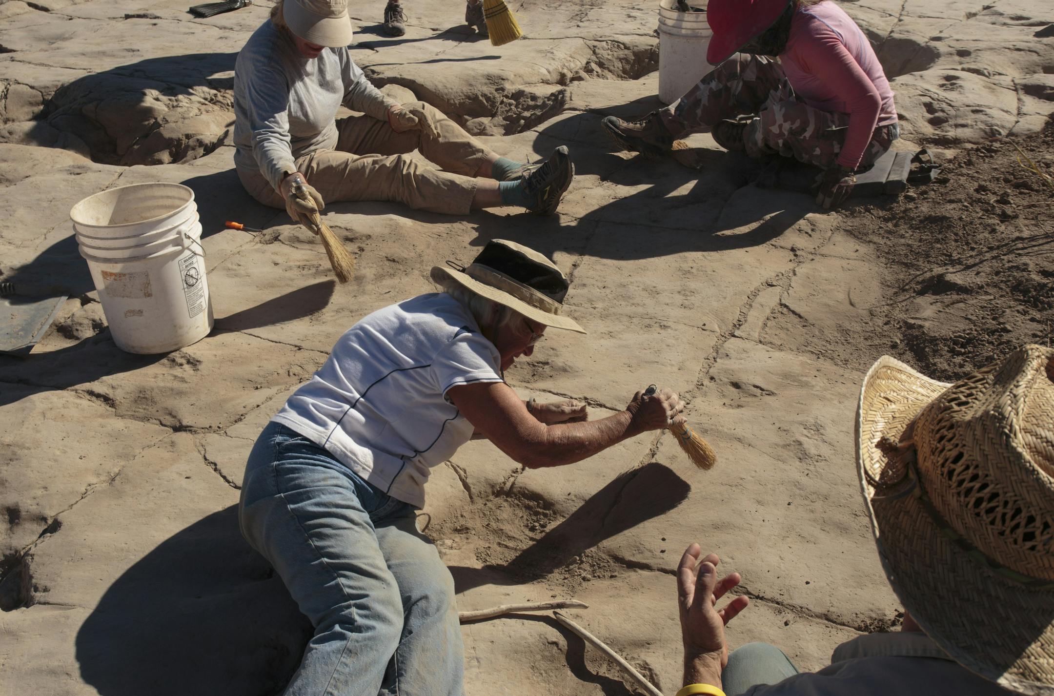 Volunteers clean an area with dinosaur tracks as Bruce Schumacher, a paleontologist, bottom right, looks on, in Picketwire Canyon in southeast Colorado, Oct. 14, 2015. The canyon has too many dinosaur bones and too few people to excavate them, so the Forest Service has benefited from the help of a small group of amateur volunteer sleuths, many in their 70s and 80s. (Matthew Staver/The New York Times)