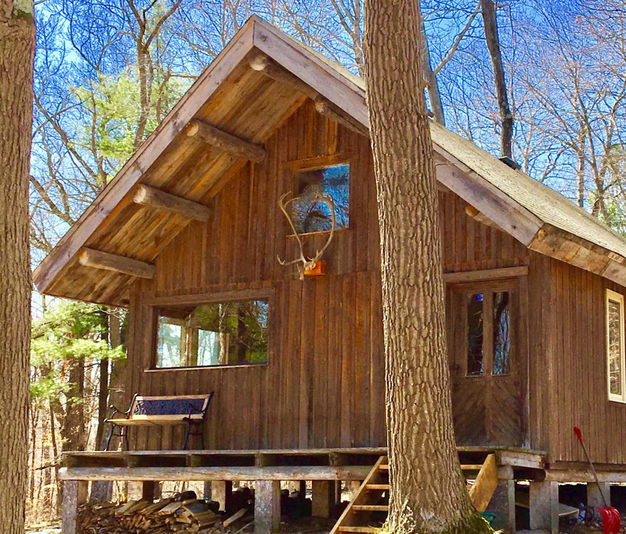 The owner wanted to build a simple cabin with minimal impact on the land.