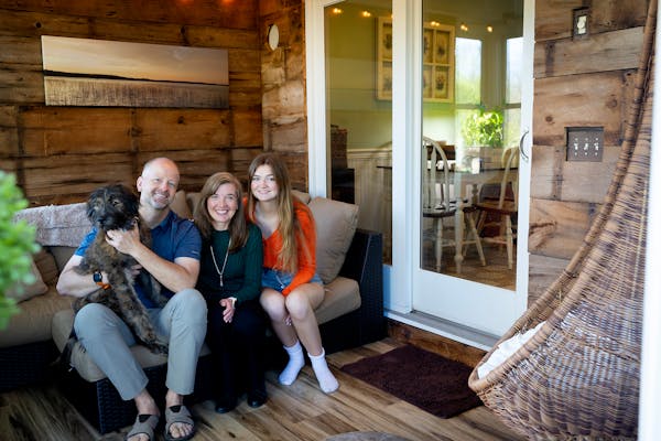 Edina couple create 'nature room' with DIY rehab of three-season porch
